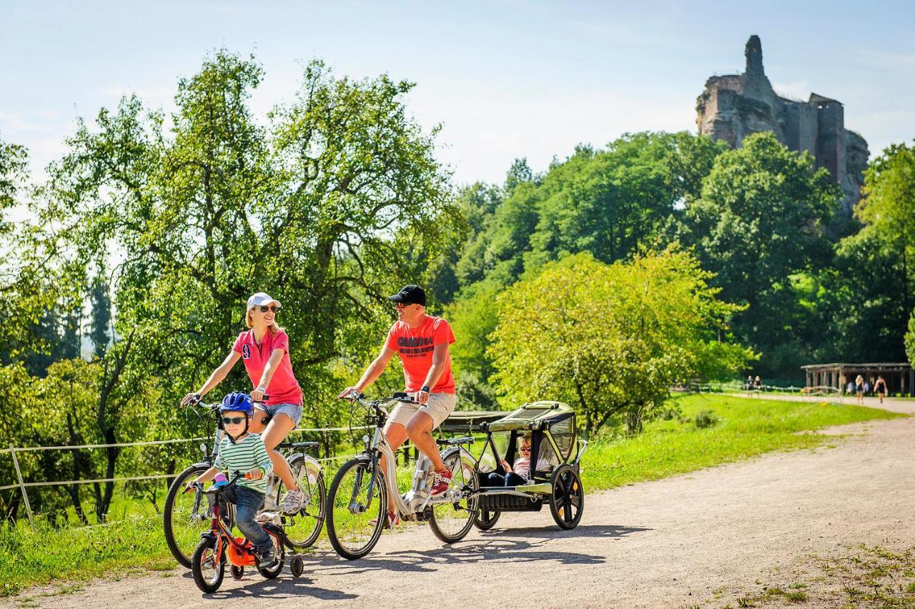 Ibis Budget Haguenau Strasbourg Nord Zewnętrze zdjęcie